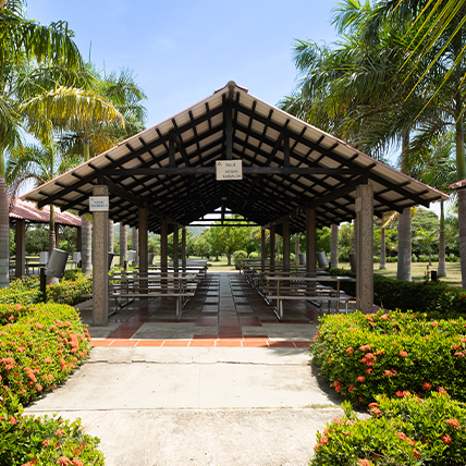 Barbacoa-turipana Centro Recreacional Turipaná