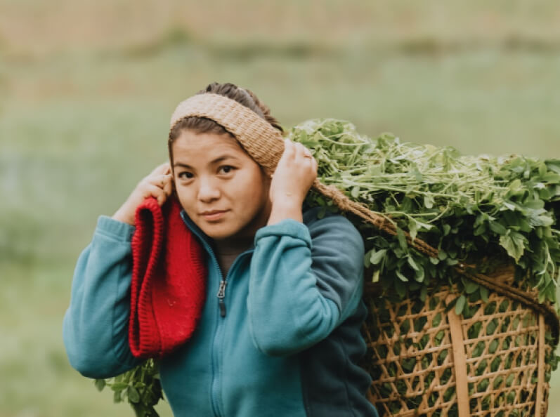 Mujer-llevando-canasta-confamiliar Subsidio Agropecuario